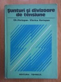 Gh. Hortopan - Sunturi si divizoare de tensiune