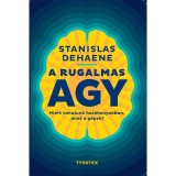 A rugalmas agy - Mi&eacute;rt tanulunk hat&eacute;konyabban, mint a g&eacute;pek? - Stanislas Dehaene