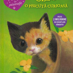 Cleo, o pisicuță curioasă - Hardcover - Holly Webb - Litera