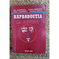 REPRODUCTIA LA BOVINE de ION DUMITRESCU ...ANGELA STOICA , DEDICATIE
