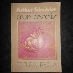 ARTHUR SCHNITZLER - DRUM DESCHIS (1986)