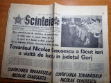 Scanteia 12 august 1977-vizita lui ceausescu la targu jiu,motru, judetul gorj