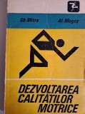 Dezvoltarea calitatilor motrice- Mitra