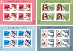 Romania, LP 1551a/2001, Rase de caini, blocuri de 4 marci, MNH