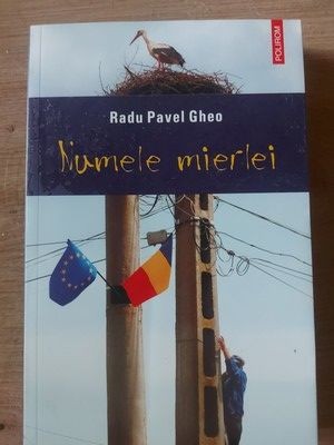 Numele mierlei- Radu Pavel Gheo foto