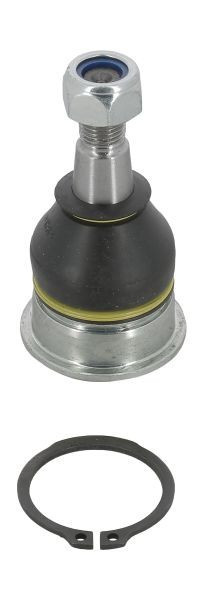 Articulatie sarcina/ghidare TOYOTA YARIS (P9) (2005 - 2013) RINGER 1141003146