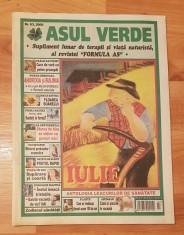 Revista Asul Verde Nr. 63 / 2009 (iulie 2009)