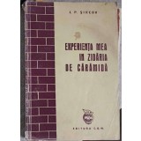 EXPERIENTA MEA IN ZIDARIA DE CARAMIDA-I.P. SIRCOV-250259