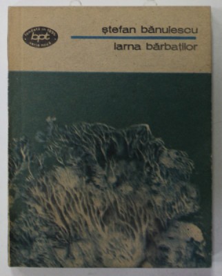 IARNA BARBATILOR de STEFAN BANULESCU , 1991 foto