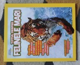 Totul despre felinele mari. National Geographic Kids, coperta cartonata