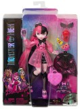 Papusa Draculaura Monster High With Pet (hhk51)