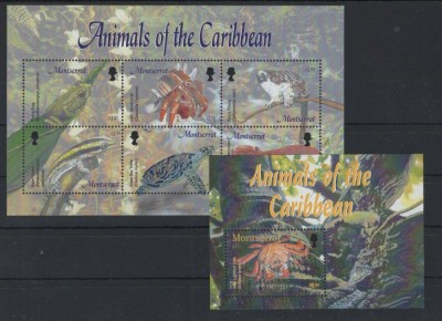 MONTSERRAT 2003 FAUNA foto