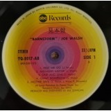 Vinil LP &quot;Japan Press&quot; PROMO - FIRST PRESS - Joe Walsh &lrm;&ndash; Barnstorm (EX)