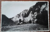 Carte postala, Defileului Crișului Repede unde se afla Pestera Vadu Crisului, 1914