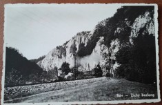 Carte postala, Defileului Crișului Repede unde se afla Pestera Vadu Crisului, 1914