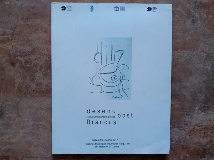 Desenul post Brancusi - Catalog de arta, 2017