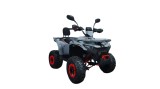 ATV XTR Pro Forest 125cc, 8 inch, Semi-Automat 1+1, Pornire Electrica, Gri-Rosu Cod Produs: MX_NEW XTR-023/8PRO1258-4