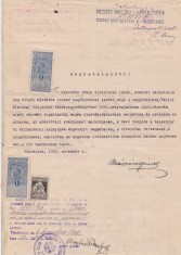 Declaratie notariala Procura cu Traducere Timisoara 1923