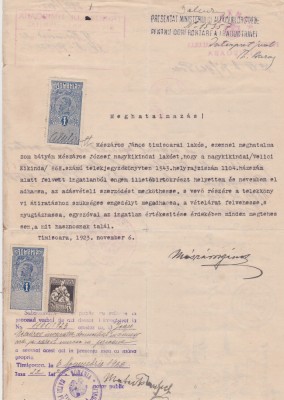 Declaratie notariala Procura cu Traducere Timisoara 1923 foto