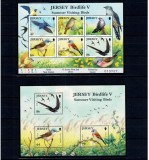 Jersey 2011 - Păsări, colita si bloc neuzat
