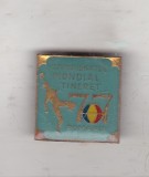 bnk ins Insigna Campionatul mondial de handbal feminin tineret Romania 1977