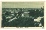 3382 - SULINA, Tulcea, Romania - old postcard - unused, Necirculata, Printata