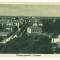 3382 - SULINA, Tulcea, Romania - old postcard - unused