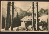 CPIB 15540 CARTE POSTALA - MUNTII BUCEGI, CABANA PESTERA, RPR, 1954, Circulata, Printata