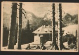 CPIB 15540 CARTE POSTALA - MUNTII BUCEGI, CABANA PESTERA, RPR, 1954, Circulata, Printata