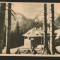 CPIB 15540 CARTE POSTALA - MUNTII BUCEGI, CABANA PESTERA, RPR, 1954