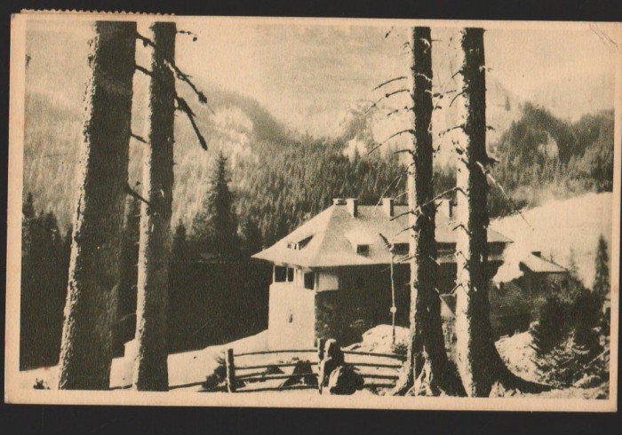 CPIB 15540 CARTE POSTALA - MUNTII BUCEGI, CABANA PESTERA, RPR, 1954