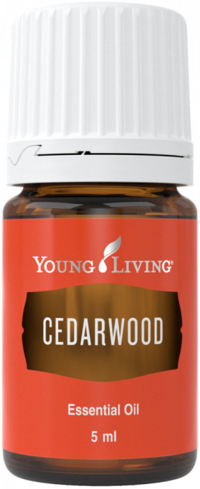 Ulei Esential Lemn de Cedru (Ulei Esential Cedarwood)