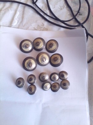 Lot 15 Nasturi Regalisti foto