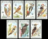 Mongolia 1988 - Seria Completă Ciocănitori Protejate și Păsări de Pădure (Woodpeckers / Picidae) 7 Valori MNH -MNG1