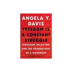 Freedom Is a Constant Struggle: Ferguson, Palestine, and the Foundations of a Movement