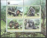 CENTRAL AFRICA 2012 WWF FAUNA PROTEJATA MAIMUTE