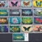 DB1 Flora Fauna Pasari Pesti 1972 - 73 Ins. Solomon 16.v. MNH