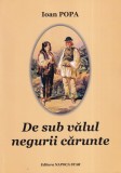 Ioan Popa - De sub valul negurii carunte
