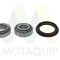 MOTAQUIP LVBW504 Set rulment roata