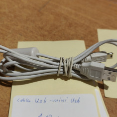 Cablu Usb - mini Usb 1.1m #A5873