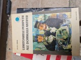 Uimitoarele peripeții ale domnului Antifer vintage