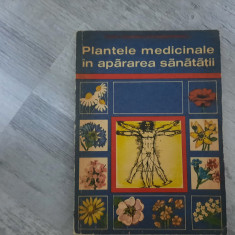 Plantele medicinale in apararea sanatatii de Corneliu Constantinescu