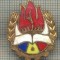 Y 857 INSIGNA - PIONIERI - PENTRU COLECTIONARI