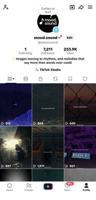 Vanzare cont Tiktok