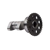 Ax cu came admisie Yamaha WR 250F 15- 19