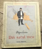 C2 MF interbelic - Din satul meu - Stefan Luca - Colectia Albina