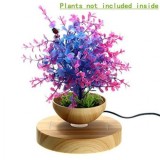 Vas ce leviteaza Flora, Oem