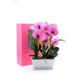 Cumpara ieftin Flori ghiveci, Orhidee artificiala siliconata cu aspect 100% natural
