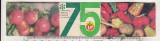 bnk cld Calendar - semn de carte 1975 - CLF