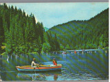 CPI B14565 - CARTE POSTALA - LACUL ROSU, Circulata, Fotografie